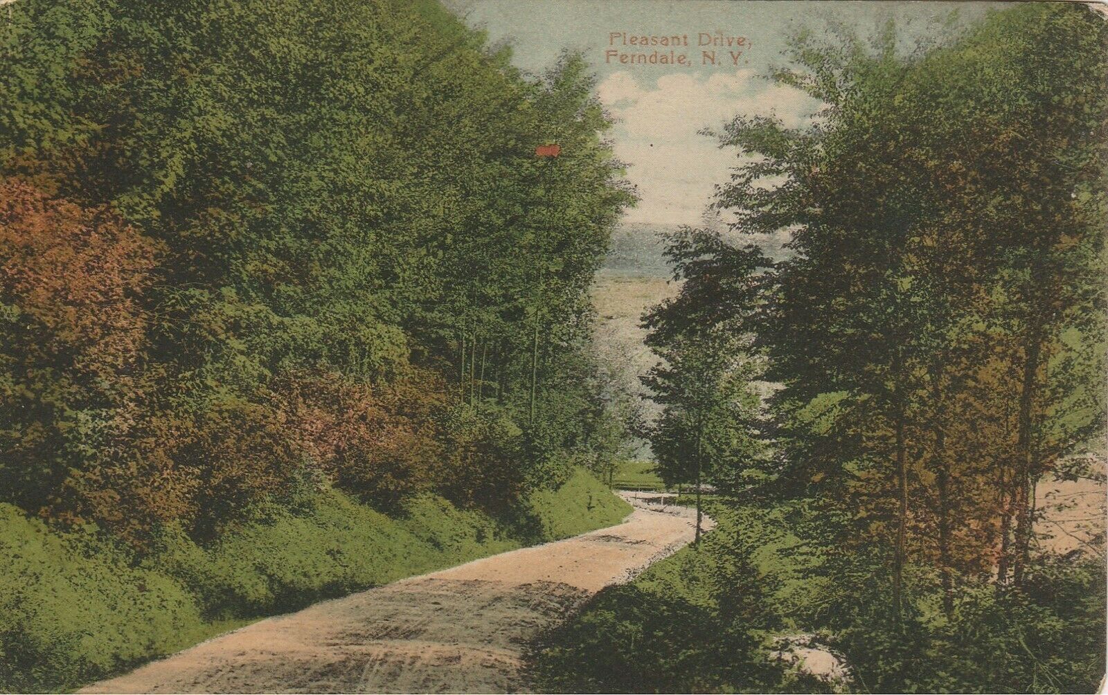 Road Through Woods Ferndale New York Ny 1913 Postcard Tichnor & Rudolph